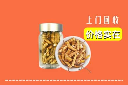 锦州市凌海回收散虫草