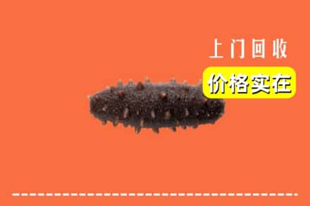 锦州市凌海回收海参