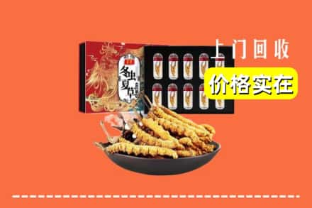 锦州市凌海回收虫草